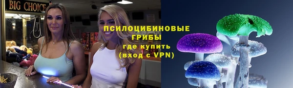 меф Белокуриха
