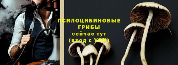 меф Белокуриха