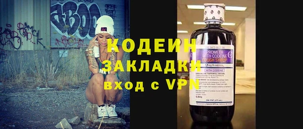 молекула духа Тайга
