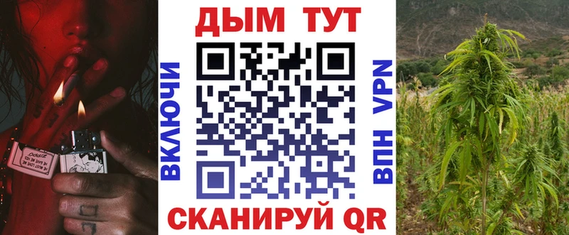 Каннабис сатива  Гай 